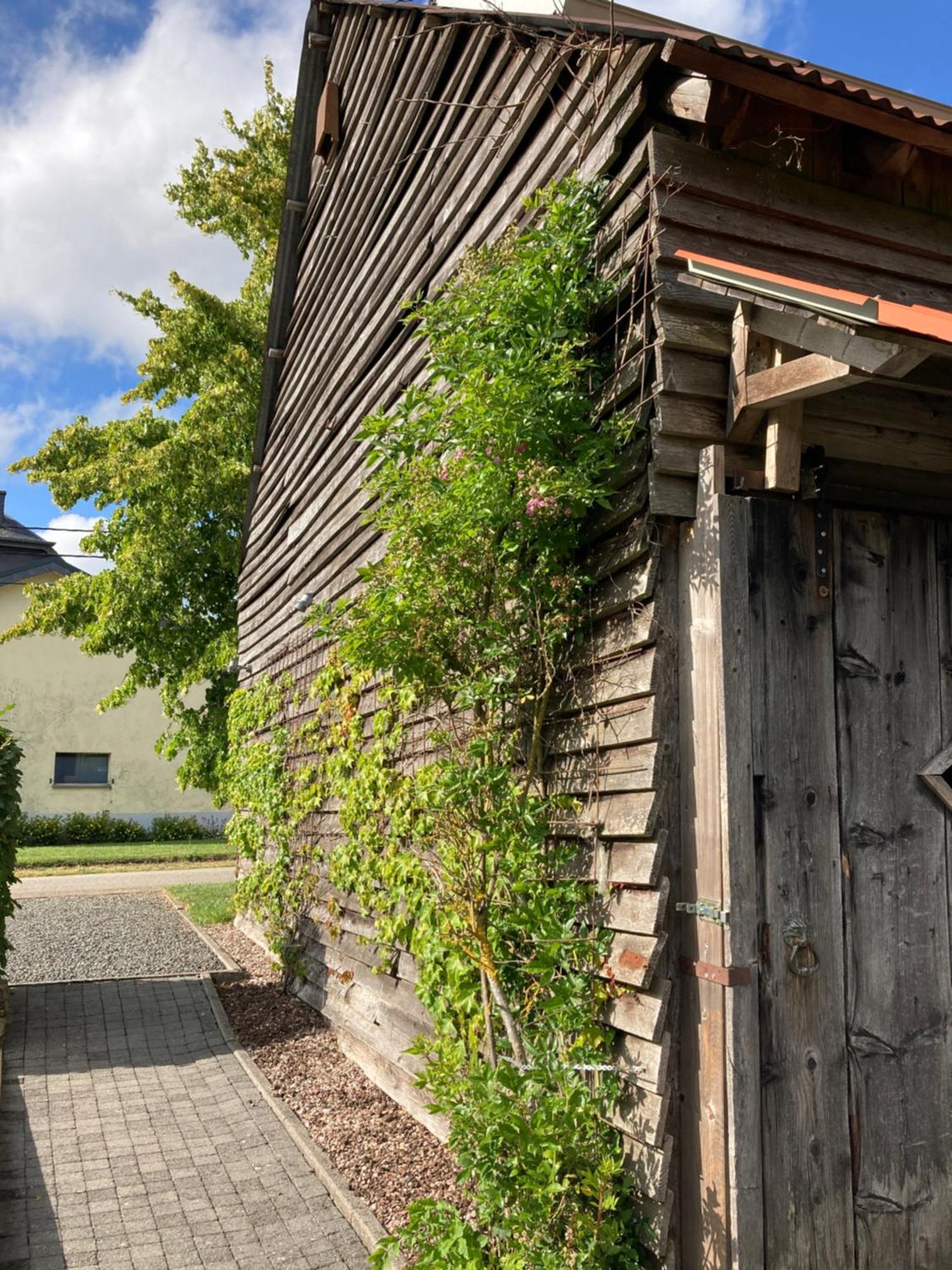 Вілла Paulis Ferienhaus Mit Kamin & Sonnenterrasse - Je Zimmer Ein Eigenes Bad - Gratis Sauna - Reinigung & Waesche Inklusive - 1 Hund Ohne Aufpreis - Ideal Zum Wandern, 20 Min Zum See Бюллінген Екстер'єр фото