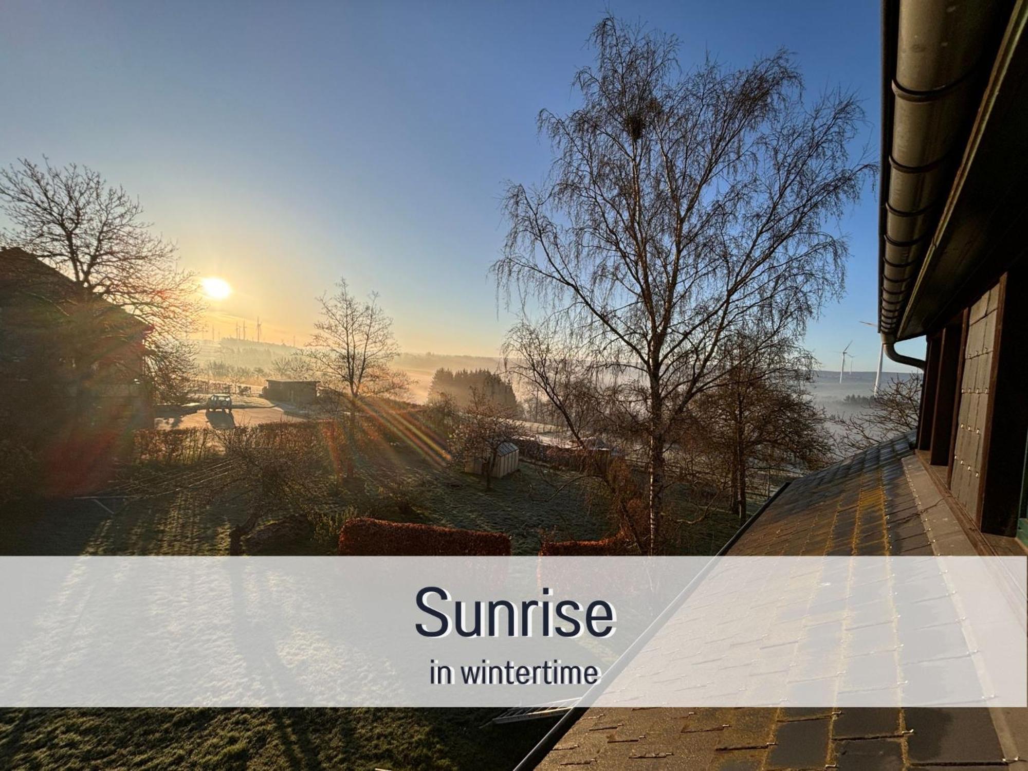 Paulis Cozy 4-Bedroom Vacation Home - With 4 Bathrooms Sun Terrace & Sauna, Nice To Hike & Bike, To Chil & Meet Бюллінген Екстер'єр фото