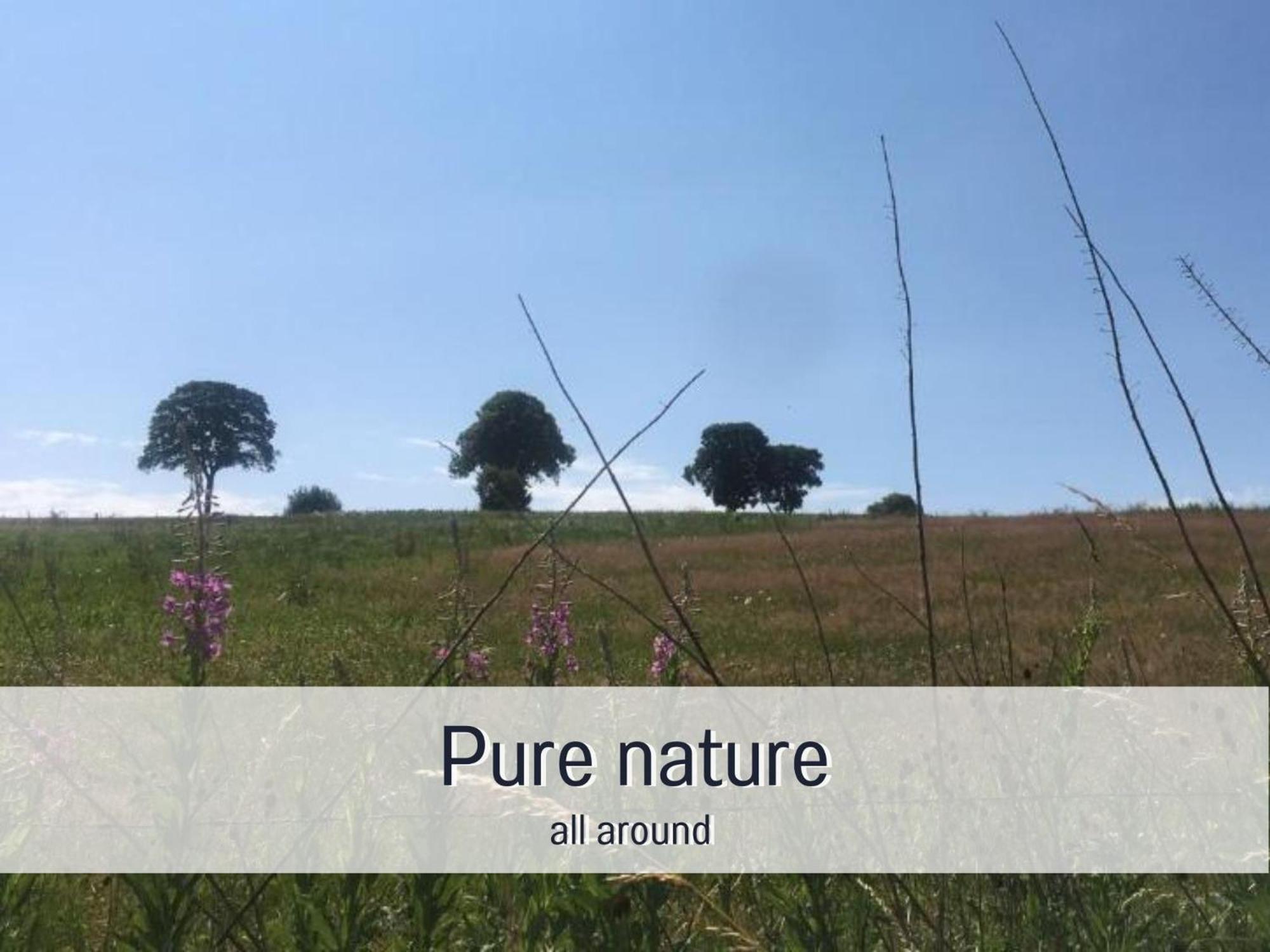 Paulis Cozy 4-Bedroom Vacation Home - With 4 Bathrooms Sun Terrace & Sauna, Nice To Hike & Bike, To Chil & Meet Бюллінген Екстер'єр фото